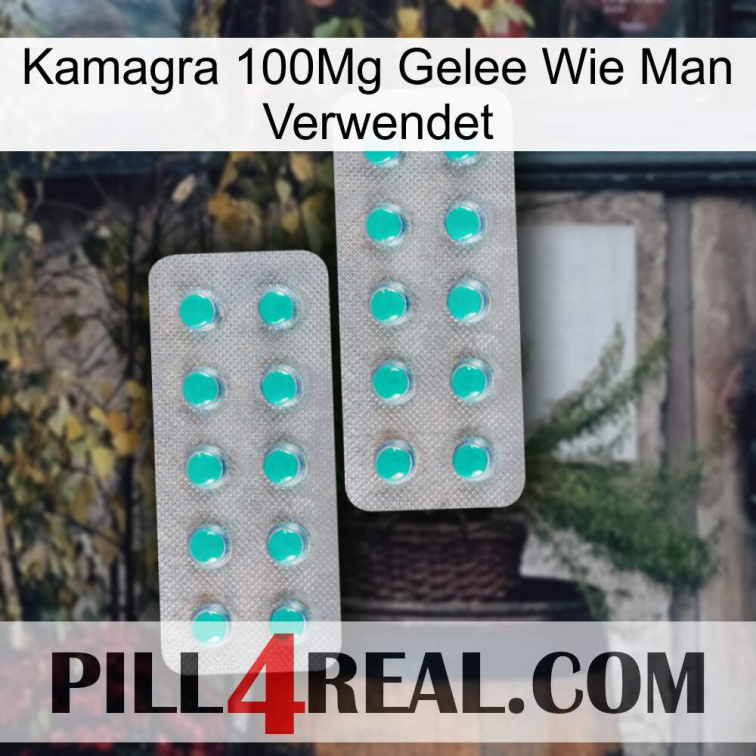 Kamagra 100Mg Jelly How To Use 29